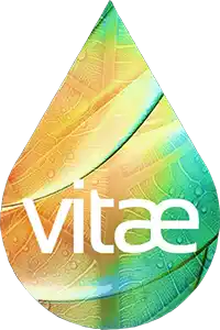 Vitae Infusion